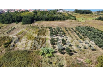 Agricultural plot, Sale, Privlaka, Privlaka